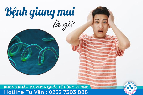 Bệnh giang mai là gì? làm sao nếu bị nhiễm giang mai?